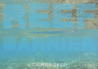Reef_Barrier.pdf