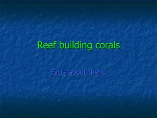 Reef building corals Facts about them. 