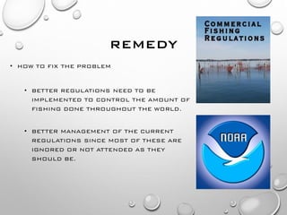 REMEDY
• HOW TO FIX THE PROBLEM
• BETTER REGULATIONS NEED TO BE
IMPLEMENTED TO CONTROL THE AMOUNT OF
FISHING DONE THROUGHO...