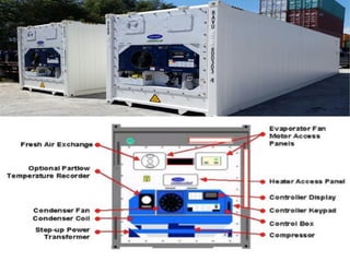 Reefer Plan Reefer shipping | PPT