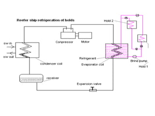 Reefer Ships.ppt