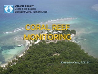 Oceanic Society Belize Field Station Blackbird Caye, Turneffe Atoll Katherine Cure,  M.S. , P.I. 