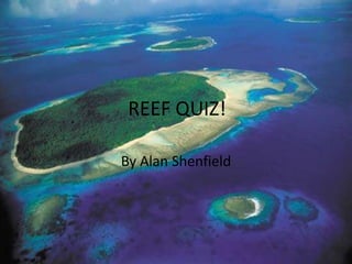 REEF QUIZ!

By Alan Shenfield
 