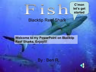 Blacktip Reef Shark By : Ben R. Fish Welcome to my PowerPoint on Blacktip Reef Sharks. Enjoy!!! C’mon let’s get started 