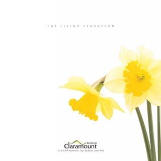 Reelicon Claramount - Brochure designed by Noworries Ad. Venture