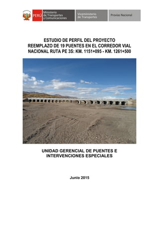 ESTUDIO DE PERFIL DEL PROYECTO
REEMPLAZO DE 19 PUENTES EN EL CORREDOR VIAL
NACIONAL RUTA PE 3S: KM. 1151+095 - KM. 1261+500
UNIDAD GERENCIAL DE PUENTES E
INTERVENCIONES ESPECIALES
Junio 2015
 