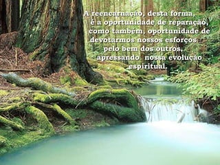 A reencarnação, desta forma,  é a oportunidade de reparação, como também, oportunidade de devotarmos nossos esforços  pelo bem dos outros,  apressando  nossa evolução espiritual.  