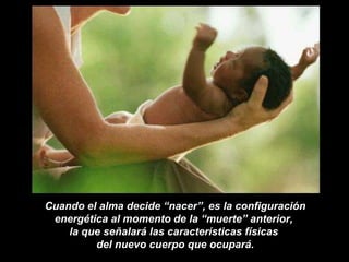 Cuando el alma decide “nacer”, es la configuración energética al momento de la “muerte” anterior,  la que señalará las características físicas  del nuevo cuerpo que ocupará. 