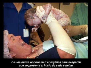 Es una nueva oportunidad energética para despertar  que se presenta al inicio de cada camino.  