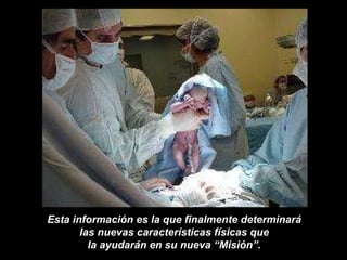 Esta información es la que finalmente determinará  las nuevas características físicas que  la ayudarán en su nueva “Misión”.  