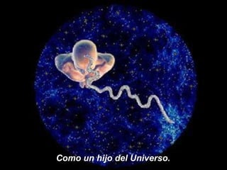 Como un hijo del Universo. 