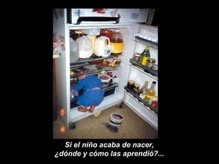 Si el niño acaba de nacer,  ¿dónde y cómo las aprendió?...  