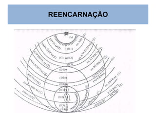REENCARNAÇÃO

 