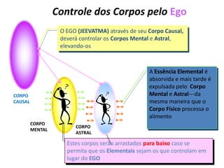 Controle dos Corpos pelo Ego
O EGO (JEEVATMA) através de seu Corpo Causal,
deverá controlar os Corpos Mental e Astral,
elevando-os

A Essência Elemental é
absorvida e mais tarde é
expulsada pelo Corpo
Mental e Astral---da
mesma maneira que o
Corpo Físico processa o
alimento

CORPO
CAUSAL

CORPO
MENTAL

CORPO
ASTRAL

Estes corpos serão arrastados para baixo caso se
permita que os Elementais sejam os que controlam em
lugar do EGO

 