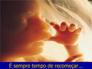 É sempre tempo de recomeçar...
 
