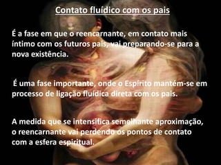 Contato fluídico com os pais
É uma fase importante, onde o Espírito mantém-se em
processo de ligação fluídica direta com os pais.
A medida que se intensifica semelhante aproximação,
o reencarnante vai perdendo os pontos de contato
com a esfera espiritual.
É a fase em que o reencarnante, em contato mais
íntimo com os futuros pais, vai preparando-se para a
nova existência.
 