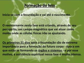 Formação do feto
Inicia-se com a fecundação e vai até o nascimento.
O reencarnante nesta fase está criando, através de seu
perispírito, um campo magnético que vai atuar como
molde onde as células físicas irão se ajustando.
Os primeiros 21 dias após a fecundação são de extrema
importância para a formação do futuro corpo - época em
que estão se formando os órgãos e sistemas - e por esse
motivo, a assistência espiritual nessa fase é muito intensa.
 