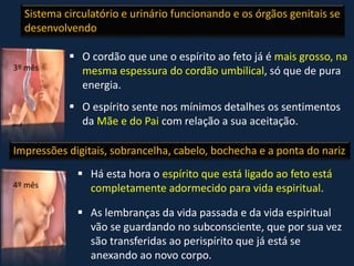  O cordão que une o espírito ao feto já é mais grosso, na
mesma espessura do cordão umbilical, só que de pura
energia.
 O espírito sente nos mínimos detalhes os sentimentos
da Mãe e do Pai com relação a sua aceitação.
 Há esta hora o espírito que está ligado ao feto está
completamente adormecido para vida espiritual.
 As lembranças da vida passada e da vida espiritual
vão se guardando no subconsciente, que por sua vez
são transferidas ao perispírito que já está se
anexando ao novo corpo.
Sistema circulatório e urinário funcionando e os órgãos genitais se
desenvolvendo
Impressões digitais, sobrancelha, cabelo, bochecha e a ponta do nariz
3º mês
4º mês
 