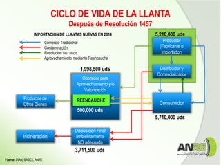 CICLO DE VIDA DE LA LLANTA
Después de Resolución 1457
Fuente: DIAN, BASEX, ANRE
Consumidor
Productor de
Otros Bienes
Disposición Final
ambientalmente
NO adecuada
Incineración
5,210,000 uds
5,710,000 uds
1,998,500 uds
3,711,500 uds
Comercio Tradicional
Contaminación
Resolución 1457 MADS
Aprovechamiento mediante Reencauche
Operador para
Aprovechamiento y/o
Valorización
REENCAUCHE
500,000 uds
Productor
(Fabricante o
Importador)
Distribuidor y
Comercializador
IMPORTACIÓN DE LLANTAS NUEVAS EN 2014
 