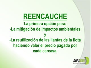 REENCAUCHE
La primera opción para:
-La mitigación de impactos ambientales
y
-La reutilización de las llantas de la flota
haciendo valer el precio pagado por
cada carcasa.
 