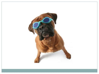 How do you know you have a problem?

 Lost sales are increasing
 Sales is selling stuff we don’t have
 Sales cycle is too long or increasing
 Sales is selling to a different problem
 Sales activities are not transparent
 There is no CRM
 Pricing and discounting are inconsistent
 Sales is ignoring a new product
 