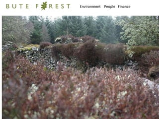 Environment    People   Finance