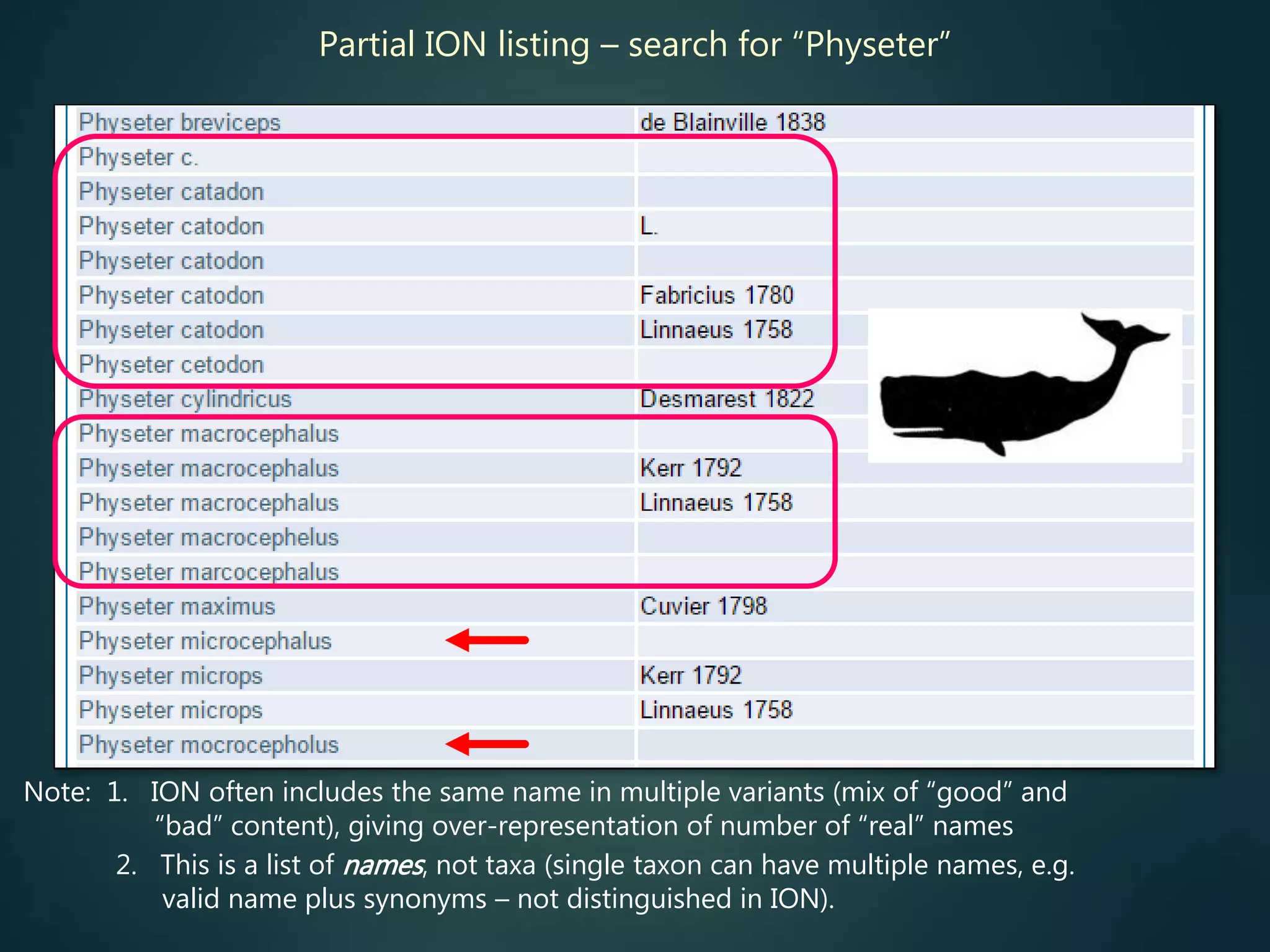 Partial ION listing – search for “Physeter”
Note: 1. ION often includes the same name in multiple variants (mix of “good” and
“bad” content), giving over-representation of number of “real” names
2. This is a list of names, not taxa (single taxon can have multiple names, e.g.
valid name plus synonyms – not distinguished in ION).
 