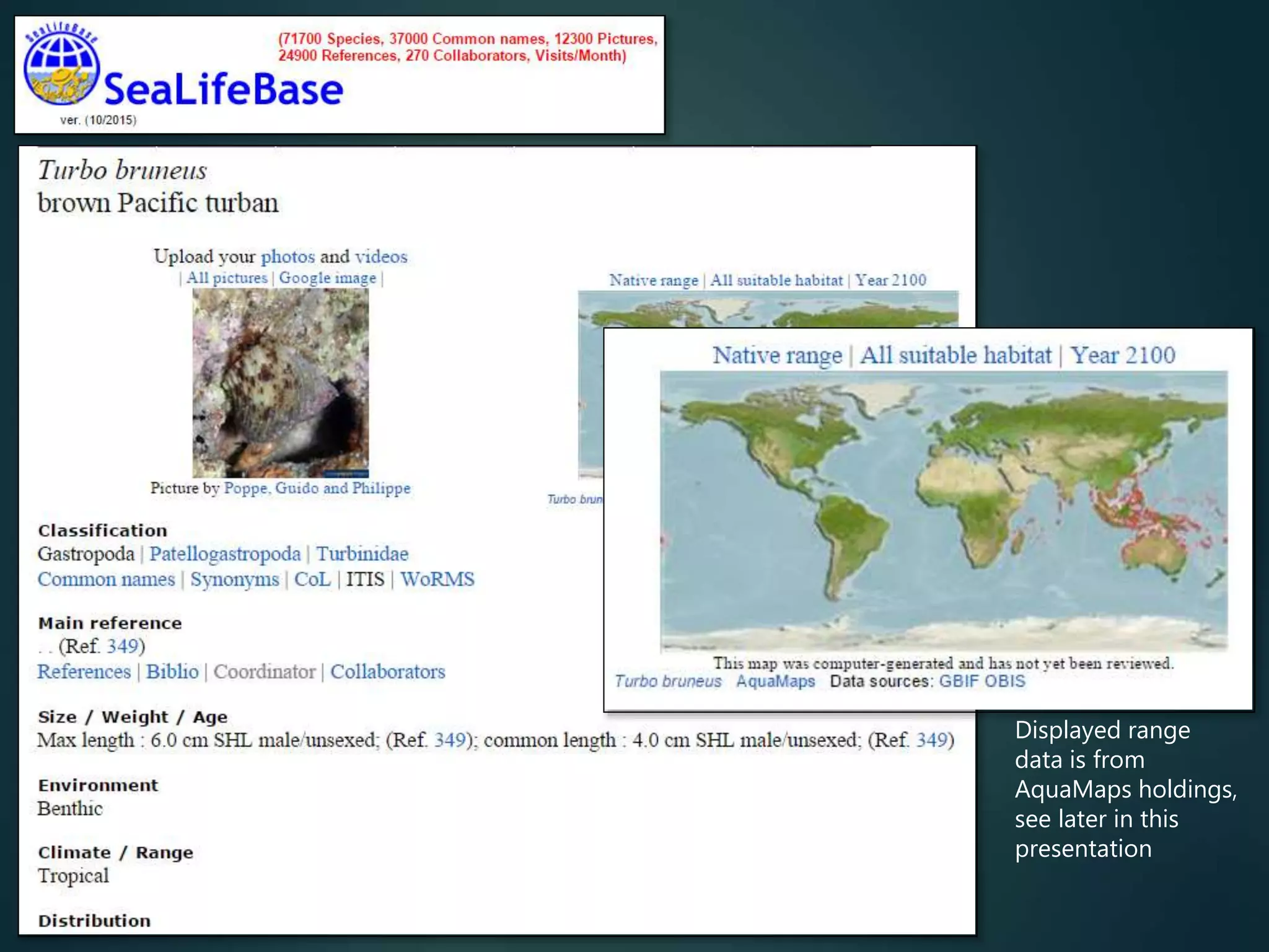 Displayed range
data is from
AquaMaps holdings,
see later in this
presentation
 