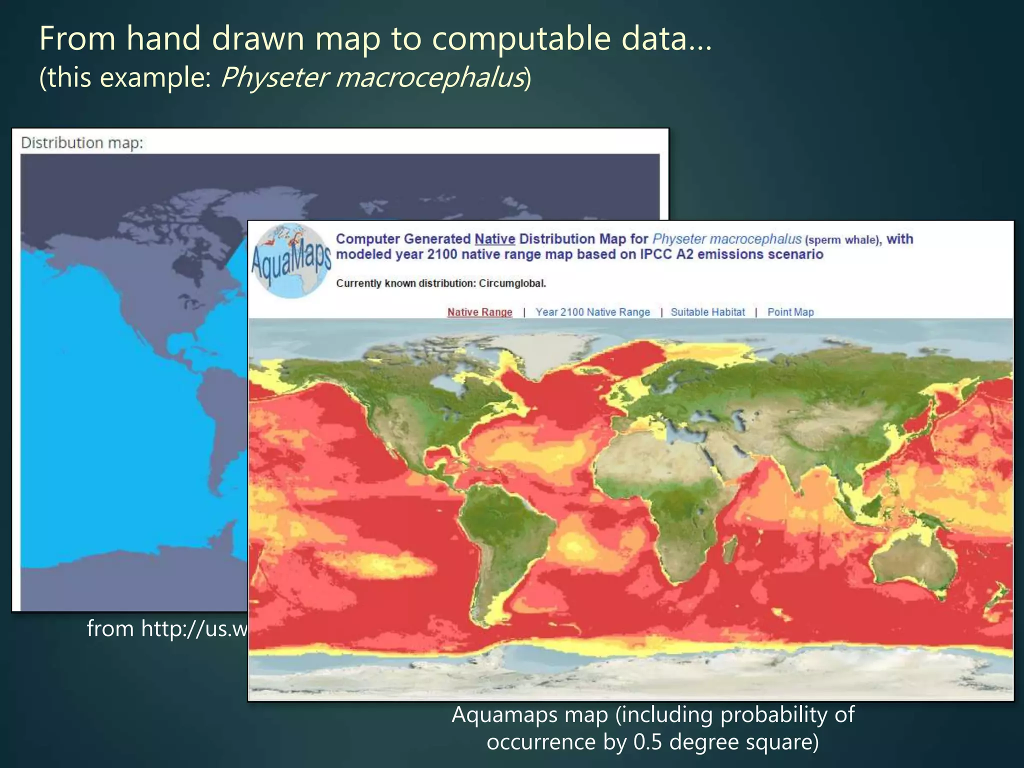 from http://us.whales.org/species-guide/sperm-whale
Aquamaps map (including probability of
occurrence by 0.5 degree square)
From hand drawn map to computable data…
(this example: Physeter macrocephalus)
 