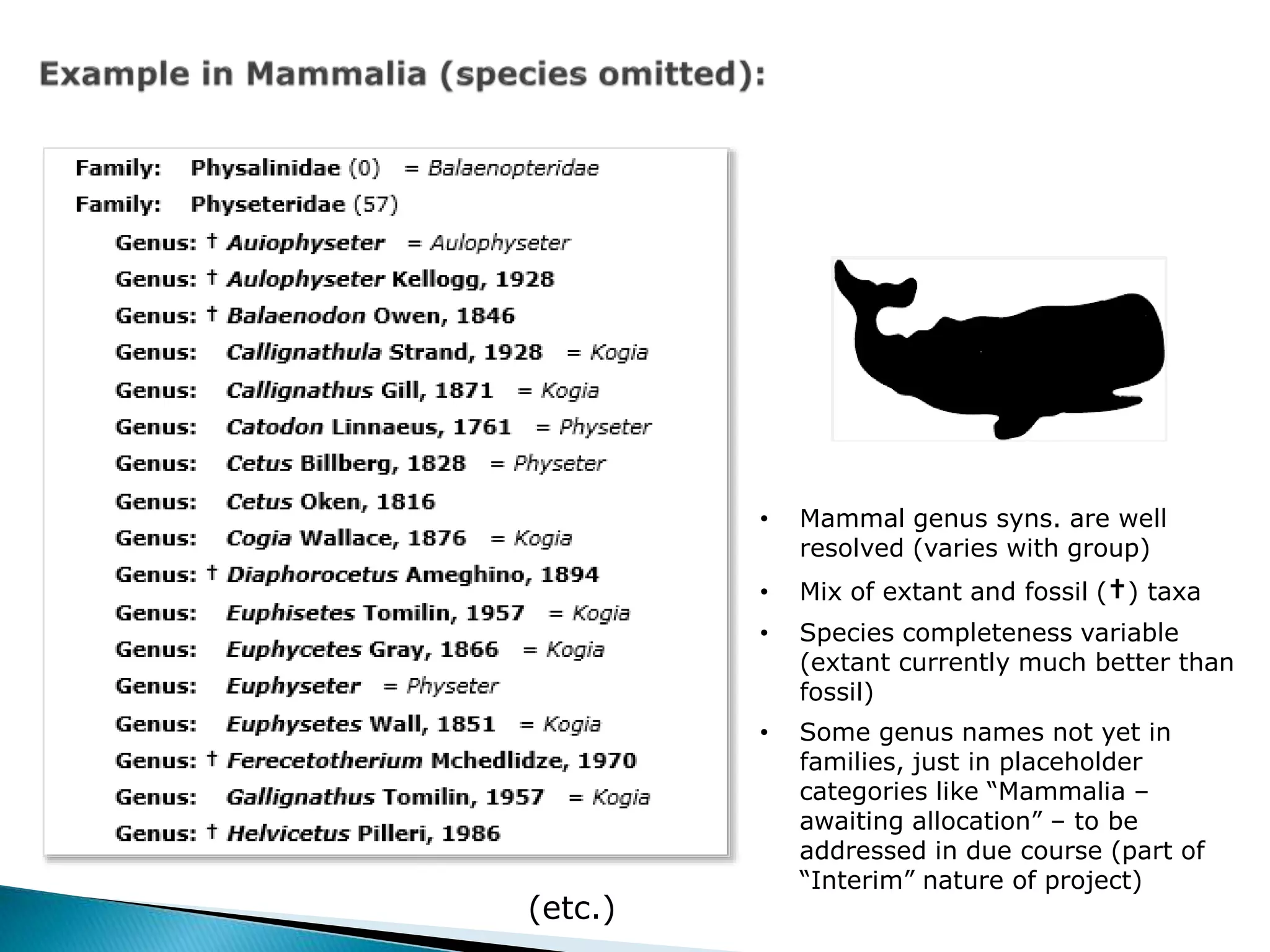 (etc.)
• Mammal genus syns. are well
resolved (varies with group)
• Mix of extant and fossil (†) taxa
• Species completeness variable
(extant currently much better than
fossil)
• Some genus names not yet in
families, just in placeholder
categories like “Mammalia –
awaiting allocation” – to be
addressed in due course (part of
“Interim” nature of project)
 