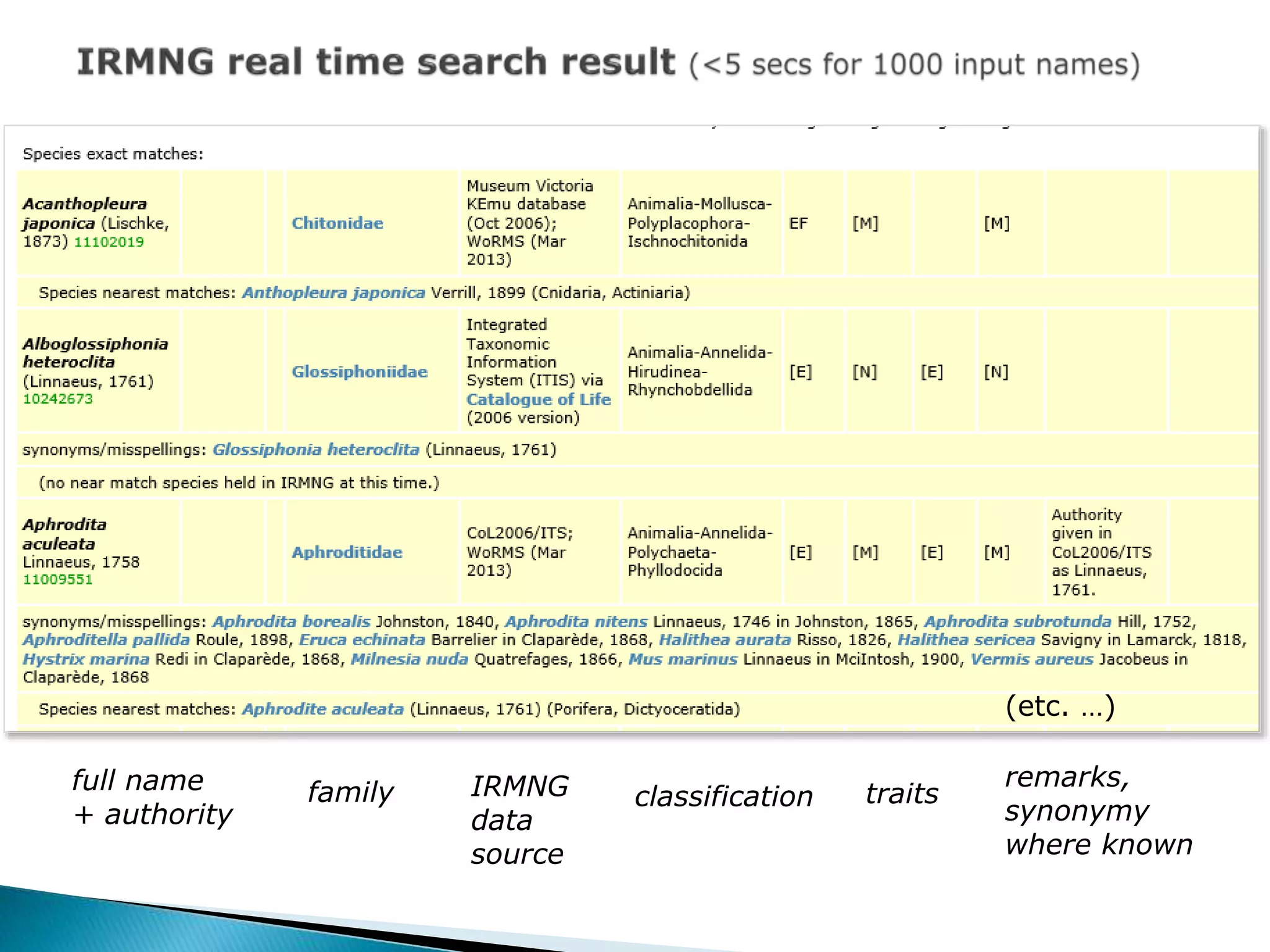 (etc. …)
family IRMNG
data
source
classification traits
remarks,
synonymy
where known
full name
+ authority
 