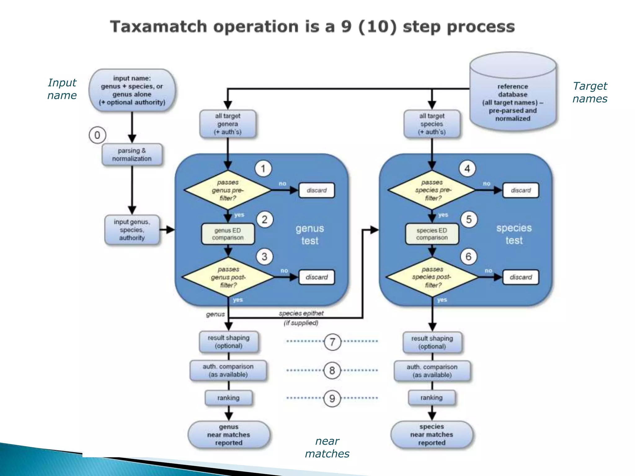 Input
name
Target
names
near
matches
 