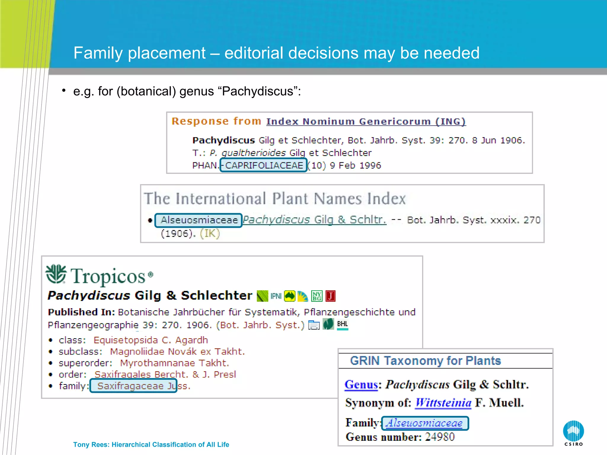 Family placement – editorial decisions may be needed Tony Rees: Hierarchical Classification of All Life e.g. for (botanical) genus “Pachydiscus”: 