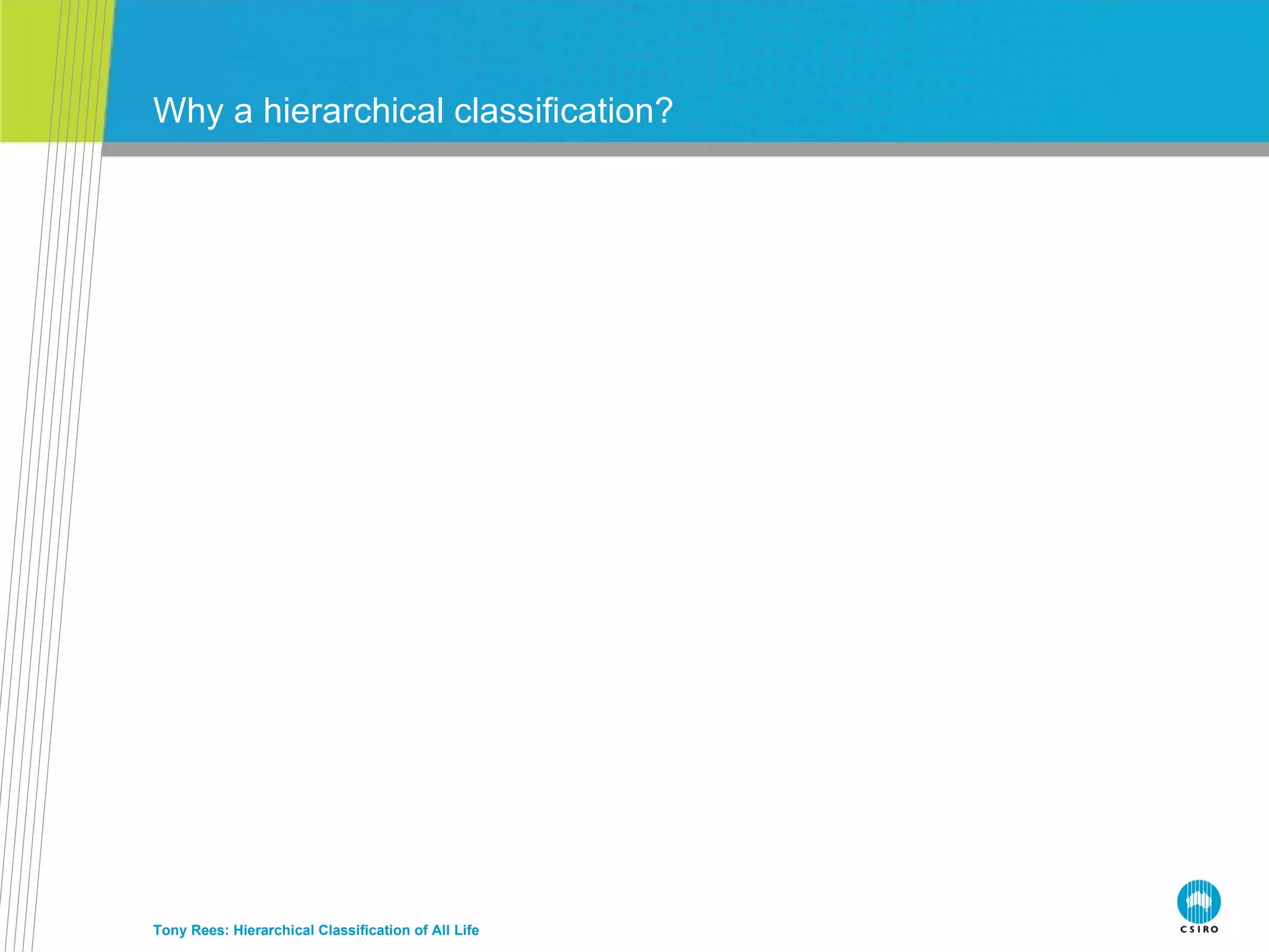 Why a hierarchical classification? Tony Rees: Hierarchical Classification of All Life 