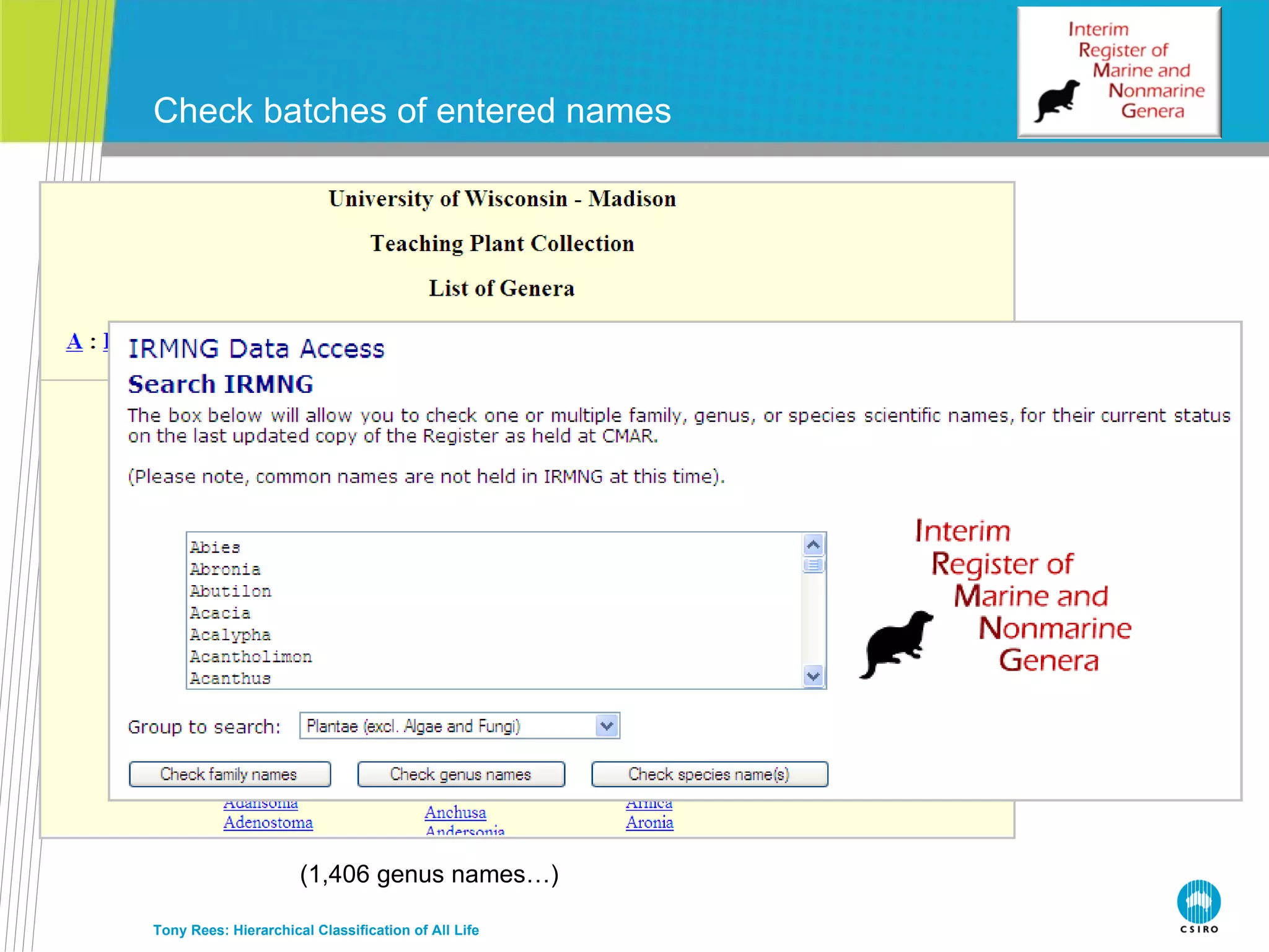 Check batches of entered names Tony Rees: Hierarchical Classification of All Life (1,406 genus names…) 