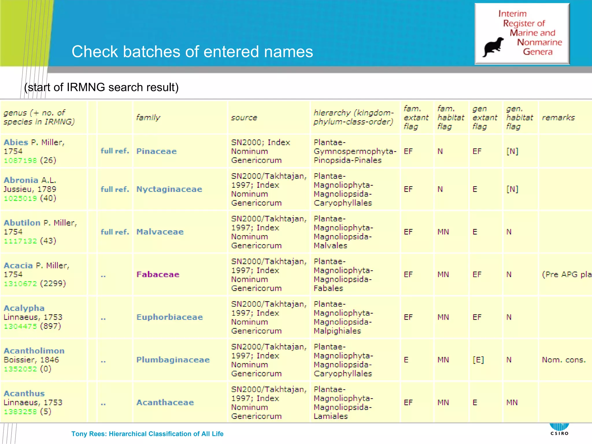 Check batches of entered names Tony Rees: Hierarchical Classification of All Life (start of IRMNG search result) 