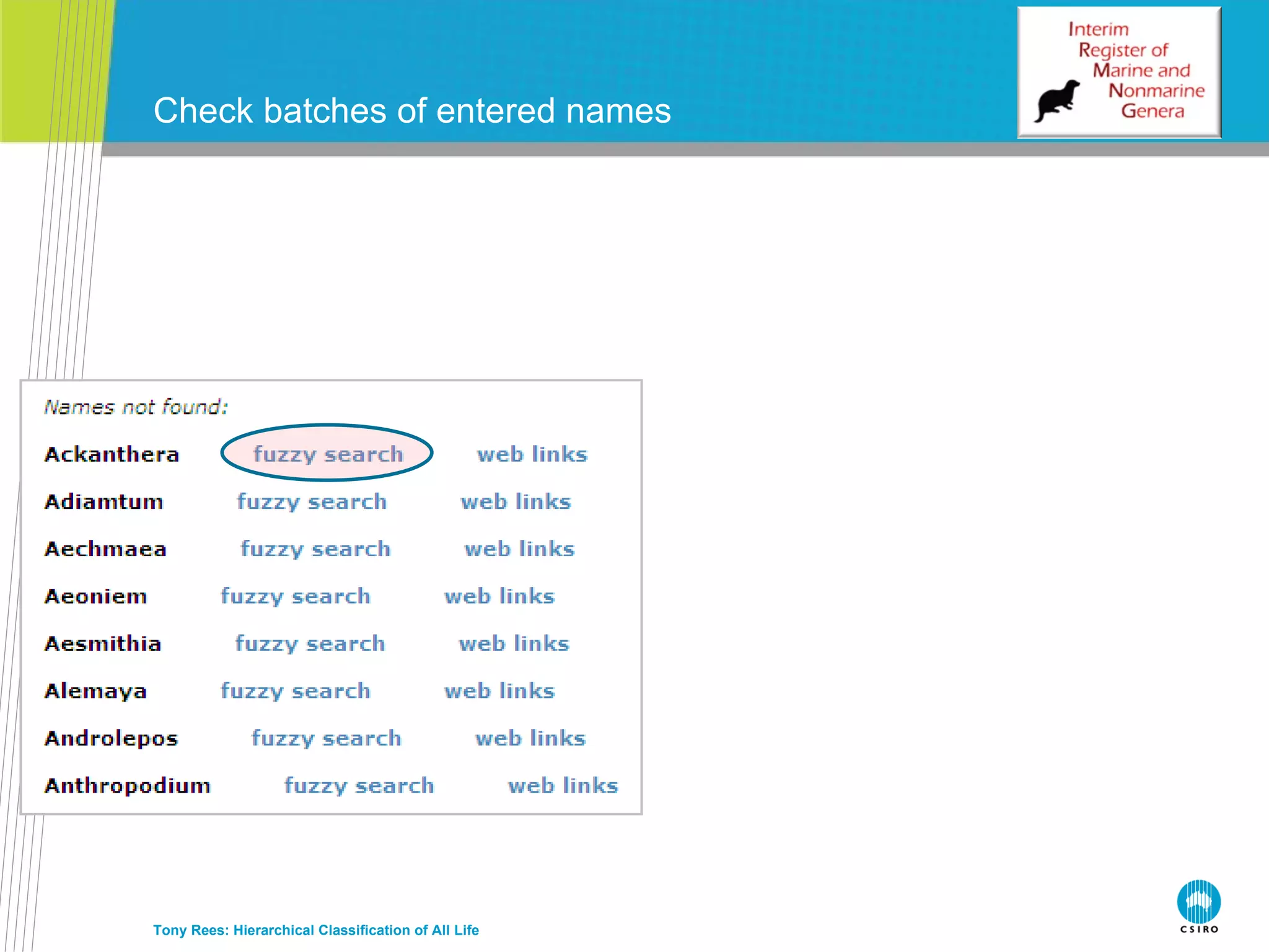 Check batches of entered names Tony Rees: Hierarchical Classification of All Life 