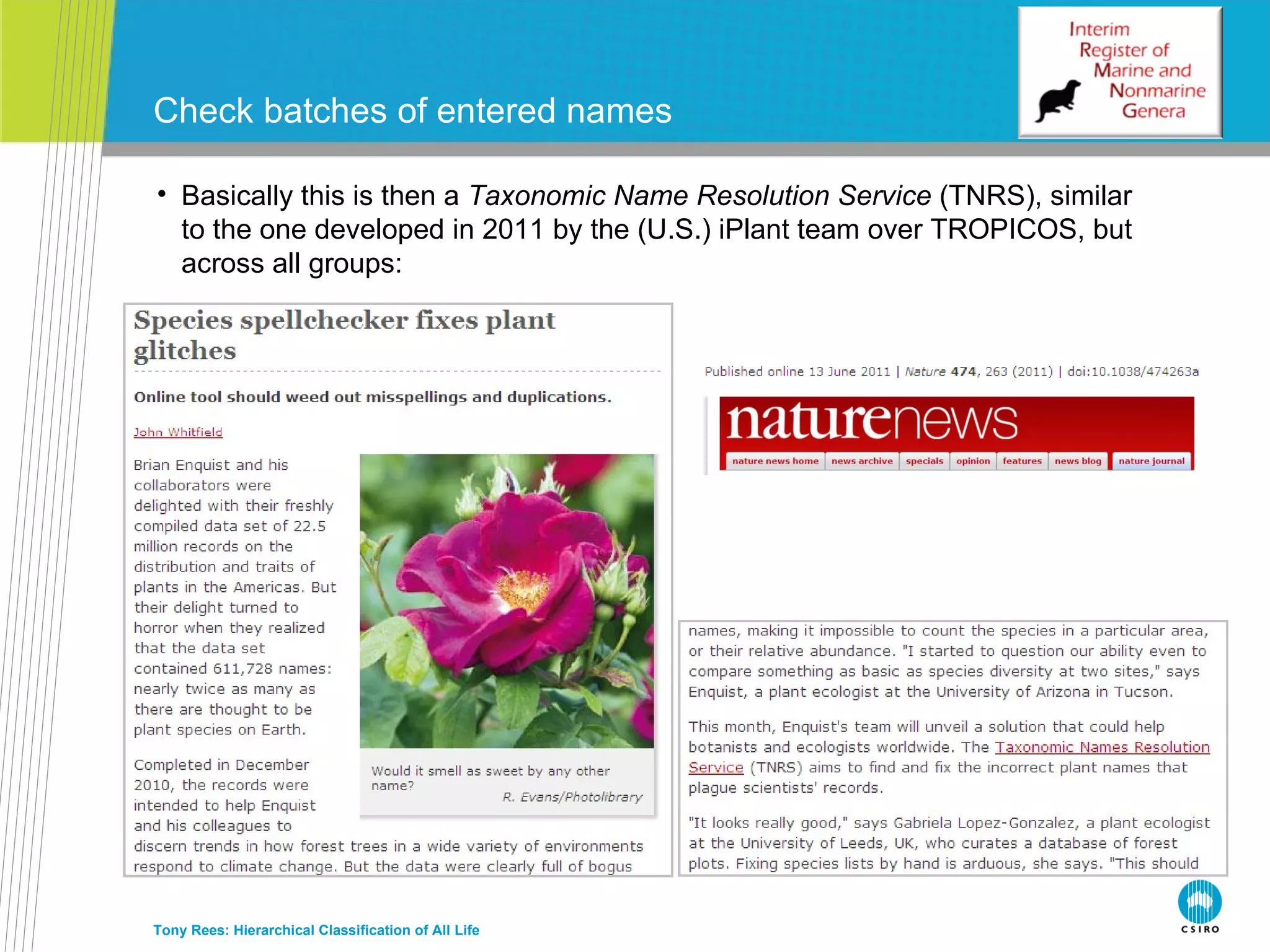Check batches of entered names Tony Rees: Hierarchical Classification of All Life Basically this is then a  Taxonomic Name Resolution Service  (TNRS), similar to the one developed in 2011 by the (U.S.) iPlant team over TROPICOS, but across all groups: 