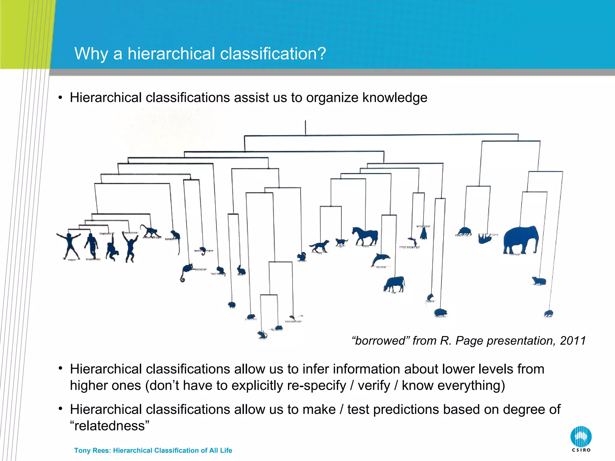 Hierarchical classifications assist us to organize knowledge Why a hierarchical classification? Tony Rees: Hierarchical Classification of All Life “ borrowed” from R. Page presentation, 2011 Hierarchical classifications allow us to infer information about lower levels from higher ones (don’t have to explicitly re-specify / verify / know everything) Hierarchical classifications allow us to make / test predictions based on degree of “relatedness” 