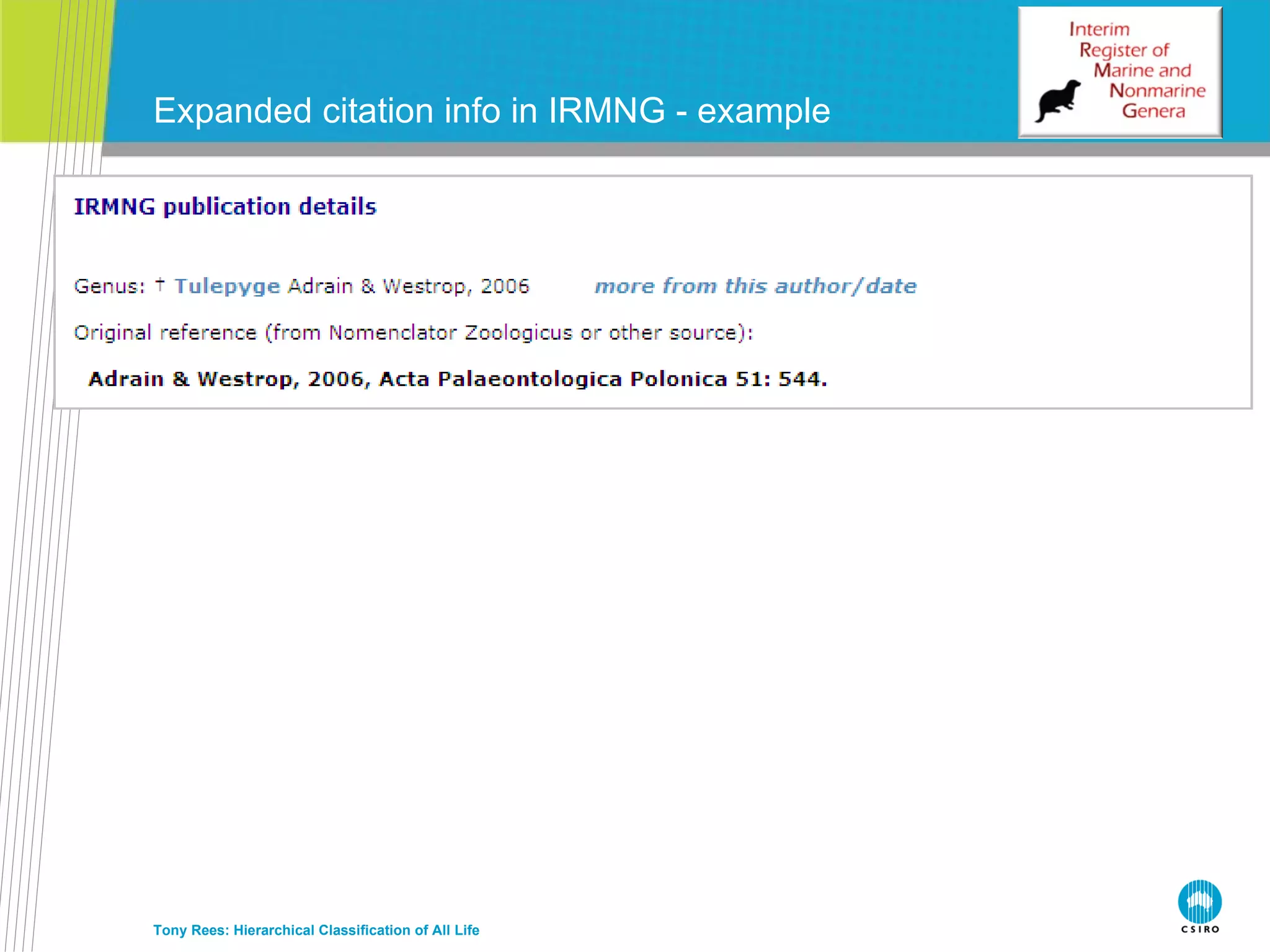 Expanded citation info in IRMNG - example  Tony Rees: Hierarchical Classification of All Life 