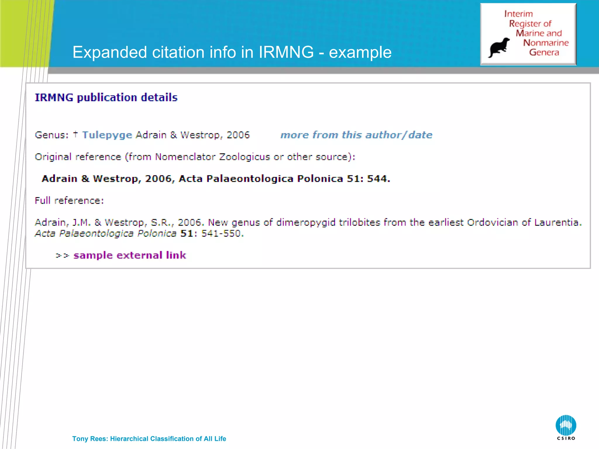 Expanded citation info in IRMNG - example  Tony Rees: Hierarchical Classification of All Life 