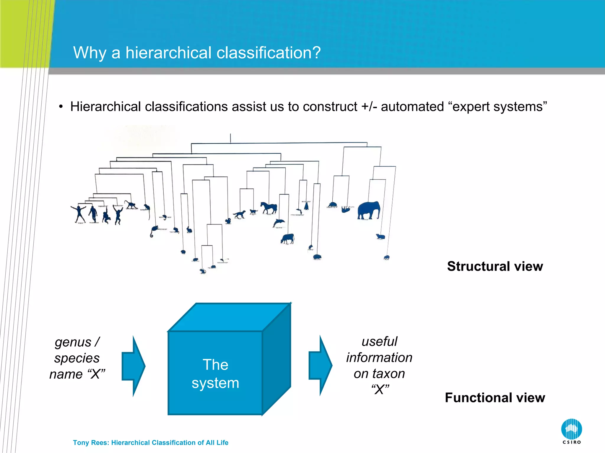 Hierarchical classifications assist us to construct +/- automated “expert systems” Why a hierarchical classification? Tony Rees: Hierarchical Classification of All Life Functional view The system Structural view genus / species name “X” useful information on taxon “X” 