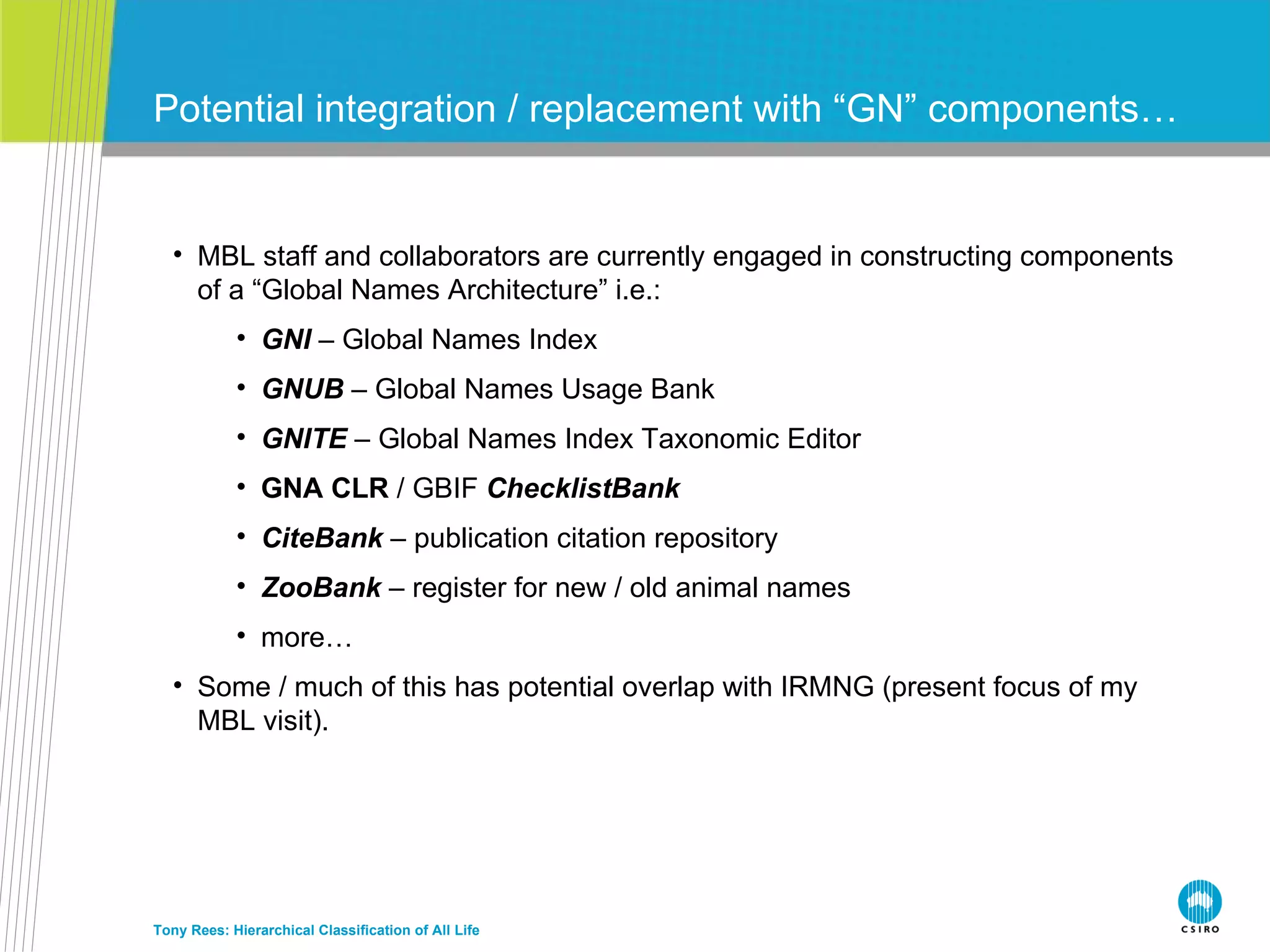 Potential integration / replacement with “GN” components… Tony Rees: Hierarchical Classification of All Life MBL staff and collaborators are currently engaged in constructing components of a “Global Names Architecture” i.e.: GNI  – Global Names Index GNUB  – Global Names Usage Bank GNITE  – Global Names Index Taxonomic Editor GNA CLR  / GBIF  ChecklistBank CiteBank  – publication citation repository ZooBank  – register for new / old animal names more… Some / much of this has potential overlap with IRMNG (present focus of my MBL visit). 
