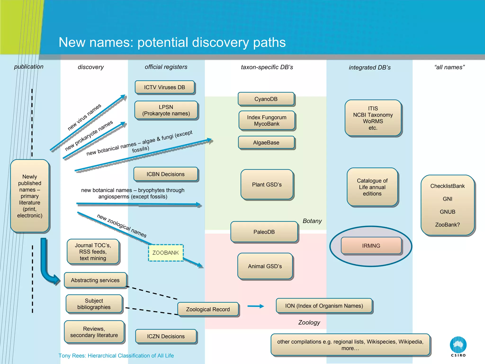 New names: potential discovery paths Tony Rees: Hierarchical Classification of All Life new virus names new prokaryote names new botanical names – algae & fungi (except fossils) new botanical names – bryophytes through angiosperms (except fossils) new zoological names publication discovery official registers taxon-specific DB’s integrated DB’s “ all names” Botany Zoology Newly published names – primary literature (print, electronic) ICTV Viruses DB LPSN (Prokaryote names) ICBN Decisions ICZN Decisions Journal TOC’s, RSS feeds, text mining Abstracting services Subject bibliographies Reviews, secondary literature Zoological Record ION (Index of Organism Names) ChecklistBank GNI GNUB ZooBank? Catalogue of Life annual editions ITIS NCBI Taxonomy WoRMS etc. CyanoDB Index Fungorum MycoBank AlgaeBase Plant GSD’s PaleoDB Animal GSD’s other compilations e.g. regional lists, Wikispecies, Wikipedia, more… IRMNG 