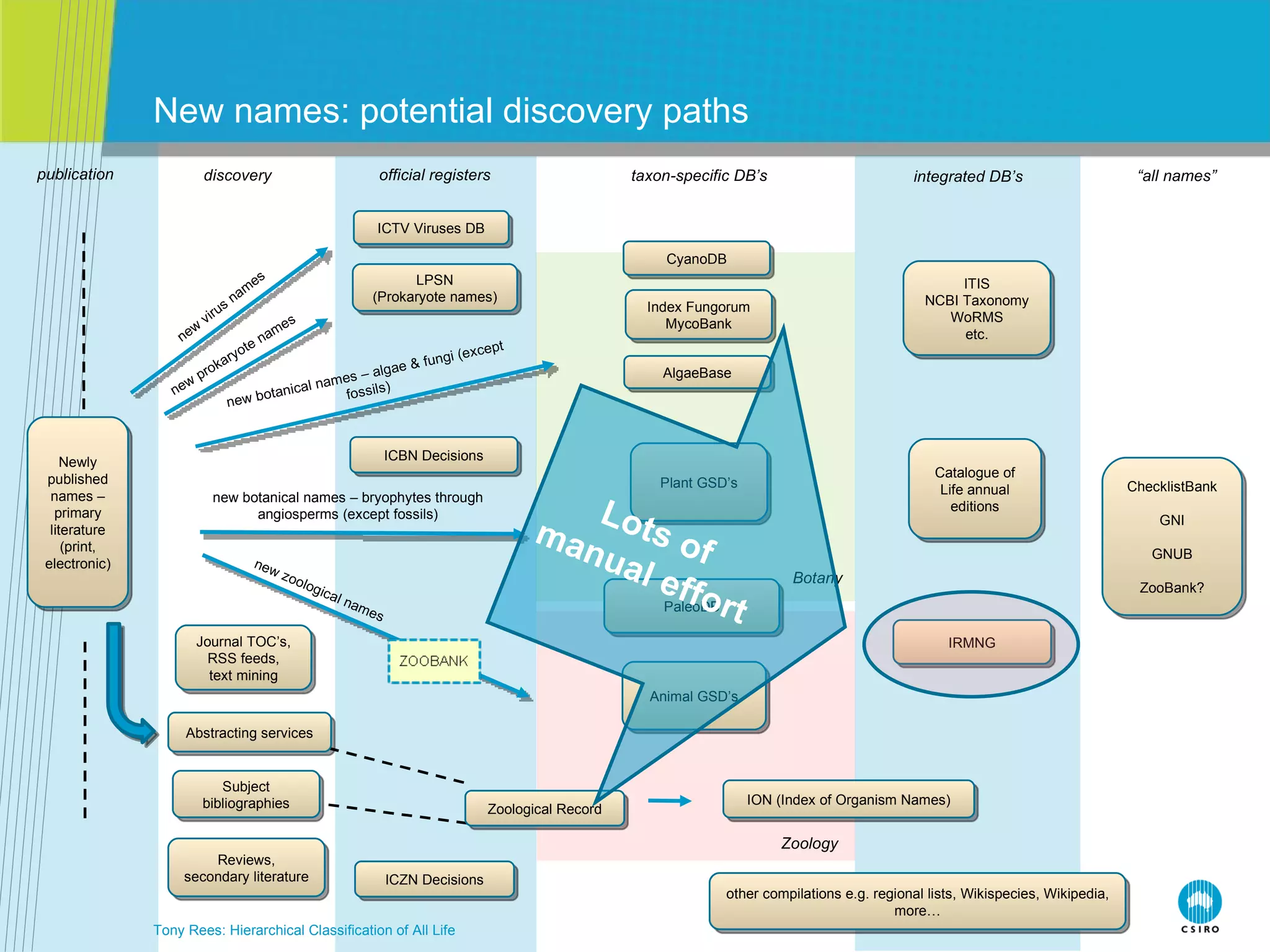 New names: potential discovery paths Tony Rees: Hierarchical Classification of All Life new virus names new prokaryote names new botanical names – algae & fungi (except fossils) new botanical names – bryophytes through angiosperms (except fossils) new zoological names publication discovery official registers taxon-specific DB’s integrated DB’s “ all names” Botany Zoology Newly published names – primary literature (print, electronic) ICTV Viruses DB LPSN (Prokaryote names) ICBN Decisions ICZN Decisions Journal TOC’s, RSS feeds, text mining Abstracting services Subject bibliographies Reviews, secondary literature Zoological Record ION (Index of Organism Names) ChecklistBank GNI GNUB ZooBank? Catalogue of Life annual editions ITIS NCBI Taxonomy WoRMS etc. CyanoDB Index Fungorum MycoBank AlgaeBase Plant GSD’s PaleoDB Animal GSD’s other compilations e.g. regional lists, Wikispecies, Wikipedia, more… IRMNG Lots of manual effort 