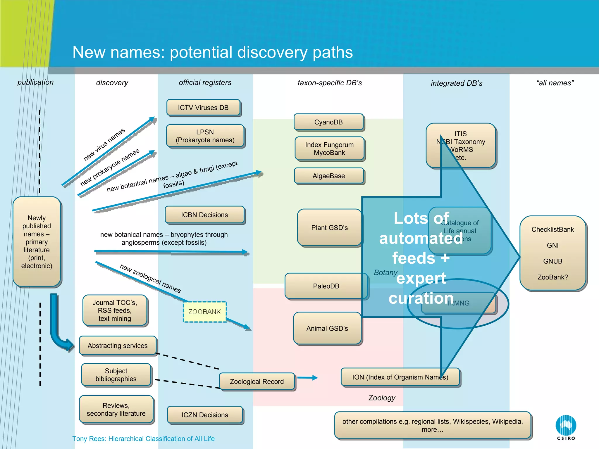 New names: potential discovery paths Tony Rees: Hierarchical Classification of All Life new virus names new prokaryote names new botanical names – algae & fungi (except fossils) new botanical names – bryophytes through angiosperms (except fossils) new zoological names publication discovery official registers taxon-specific DB’s integrated DB’s “ all names” Botany Zoology Newly published names – primary literature (print, electronic) ICTV Viruses DB LPSN (Prokaryote names) ICBN Decisions ICZN Decisions Journal TOC’s, RSS feeds, text mining Abstracting services Subject bibliographies Reviews, secondary literature Zoological Record ION (Index of Organism Names) ChecklistBank GNI GNUB ZooBank? Catalogue of Life annual editions ITIS NCBI Taxonomy WoRMS etc. CyanoDB Index Fungorum MycoBank AlgaeBase Plant GSD’s PaleoDB Animal GSD’s other compilations e.g. regional lists, Wikispecies, Wikipedia, more… IRMNG Lots of automated feeds + expert curation 