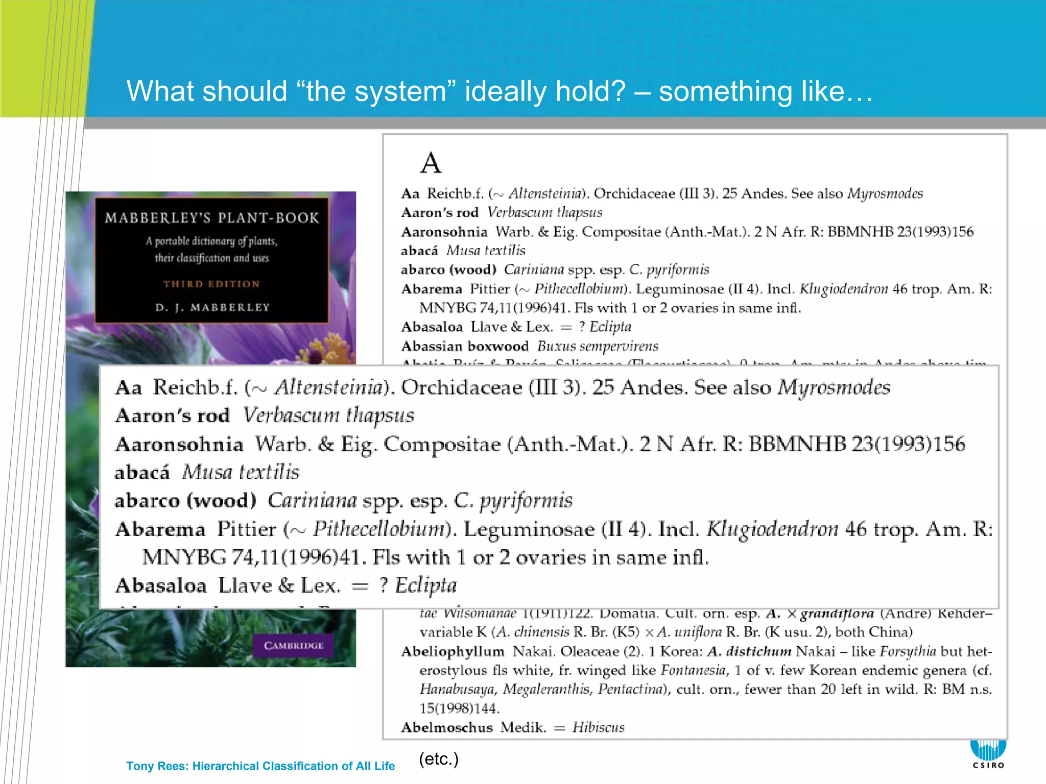 What should “the system” ideally hold? – something like… Tony Rees: Hierarchical Classification of All Life (etc.) 