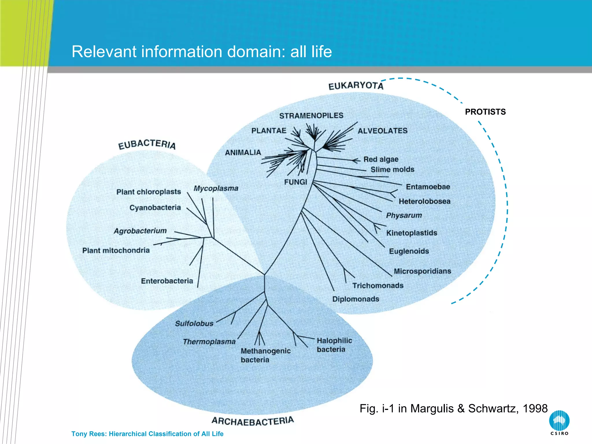 Relevant information domain: all life Tony Rees: Hierarchical Classification of All Life PROTISTS Fig. i-1 in Margulis & Schwartz, 1998 