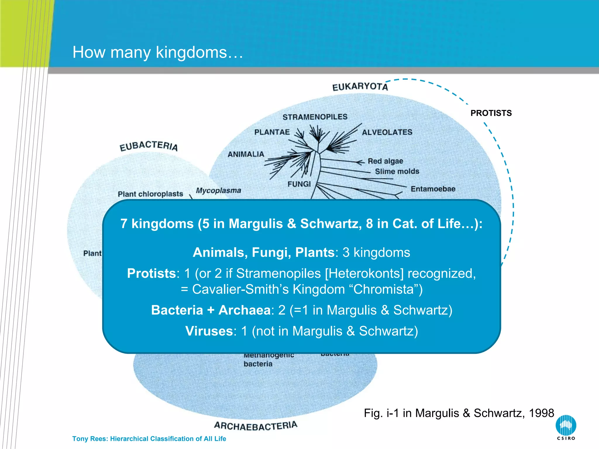 How many kingdoms… Tony Rees: Hierarchical Classification of All Life PROTISTS Fig. i-1 in Margulis & Schwartz, 1998 7 kingdoms (5 in Margulis & Schwartz, 8 in Cat. of Life…): Animals, Fungi, Plants : 3 kingdoms Protists : 1 (or 2 if Stramenopiles [Heterokonts] recognized, = Cavalier-Smith’s Kingdom “Chromista”) Bacteria + Archaea : 2 (=1 in Margulis & Schwartz) Viruses : 1 (not in Margulis & Schwartz) 