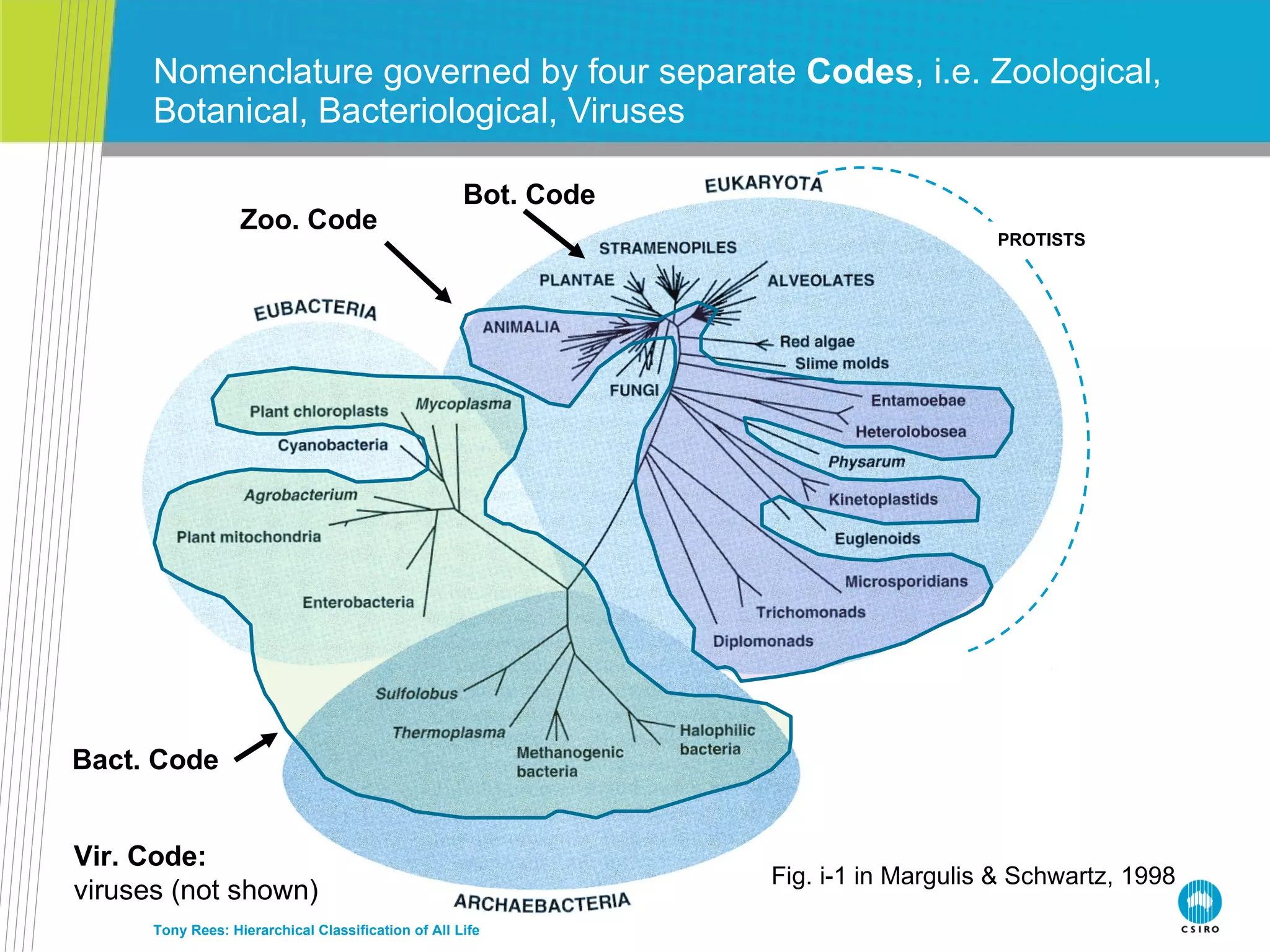 Nomenclature governed by four separate  Codes , i.e. Zoological, Botanical, Bacteriological, Viruses Tony Rees: Hierarchical Classification of All Life PROTISTS Zoo. Code Bact. Code Bot. Code Vir. Code: viruses (not shown) Fig. i-1 in Margulis & Schwartz, 1998 